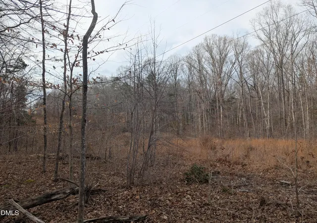 Homes for sale in Roxboro, NC | 0 Dirgie Mine Rd, Roxboro, NC 27574 | MLS# 10163337