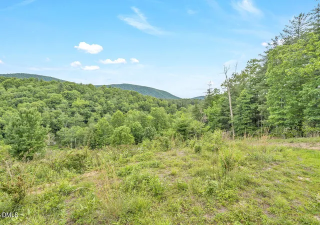 Homes for sale in Sparta, NC | 488 Dewitt Rd, Sparta, NC 28675 | MLS# 10164285