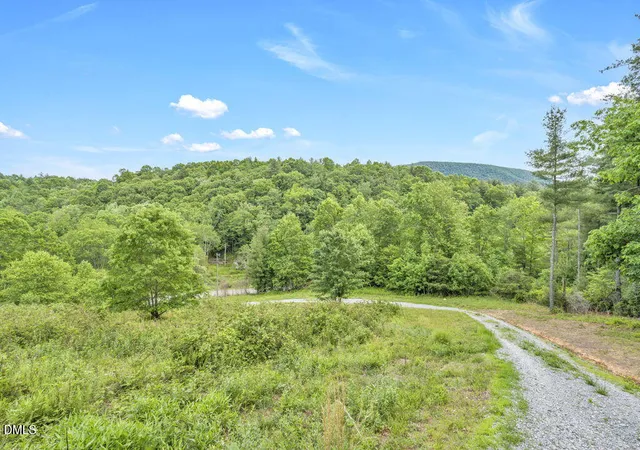 Homes for sale in Sparta, NC | 488 Dewitt Rd, Sparta, NC 28675 | MLS# 10164285