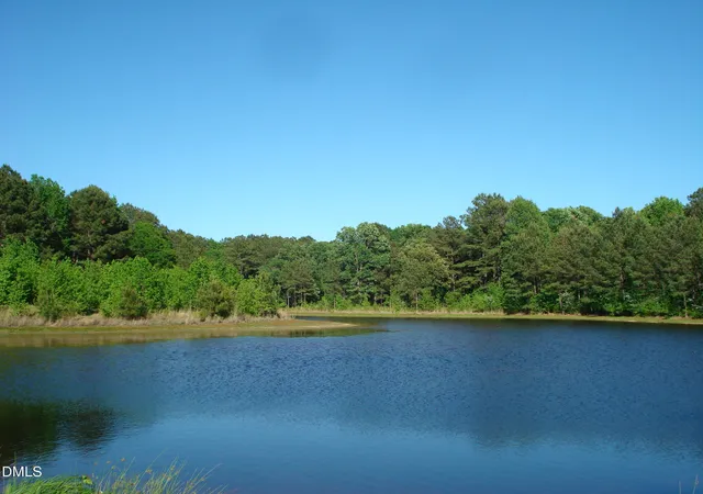 5th image of 00 Nc 82 Hwy, Dunn, NC 28334 | MLS# 10164690