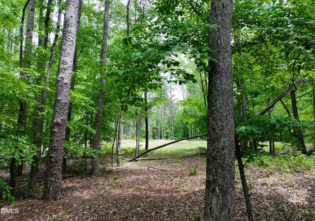4th image of 75 Max Finn Ln, Roxboro, NC 27574 | MLS# 10164725