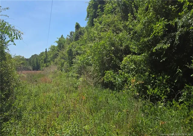 Photo 3 of Land for sale at 1634 Sweetie Rd, Fayetteville, NC 28312 | MLS# 761940 | Listing updated on 2026-07-22