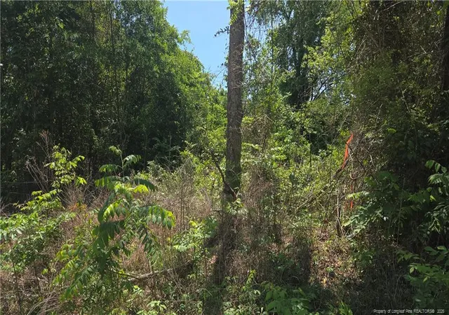 Photo 3 of Land for sale at 1634 Sweetie Rd, Fayetteville, NC 28312 | MLS# 761940 | Listing updated on 2026-07-22
