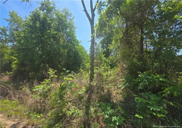 Photo 4 of Land for sale at 1634 Sweetie Rd, Fayetteville, NC 28312 | MLS# 761940 | Listing updated on 2026-07-22