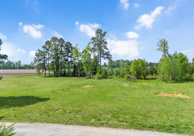 Homes for sale in Benson, NC | 2115 Woods Crossroads Rd, Benson, NC 27504 | MLS# 10164804