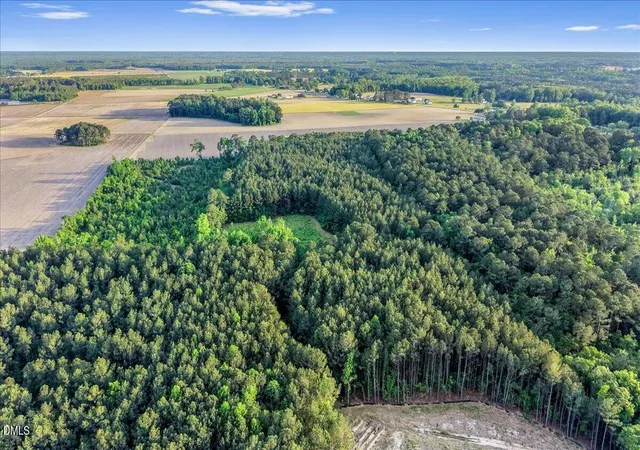 2nd image of 0 Pendergrass Dr, Princeton, NC 27569 | MLS# 10165897