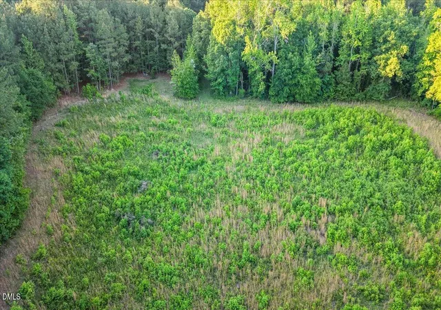 3rd image of 0 Pendergrass Dr, Princeton, NC 27569 | MLS# 10165897