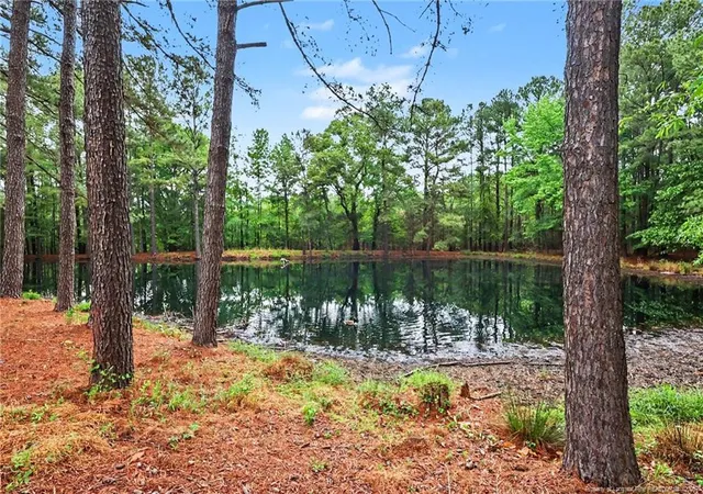 48th image of 1004 Wentworth Ct, Sanford, NC 27330 | MLS# 761839