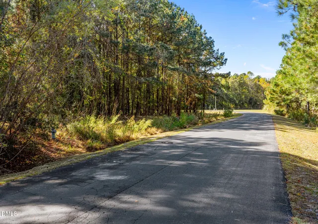 Photo 2 of Land for sale at 48 Tarpon Pointe Rd, Bath, NC 27808 | MLS# 10169308 | Listing updated on 2026-09-18