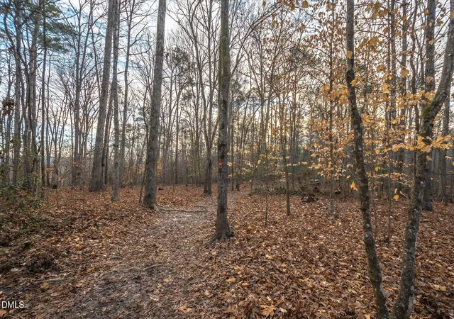 4th image of 48 Little Gem Ln, Fuquay Varina, NC 27526 | MLS# 10165492