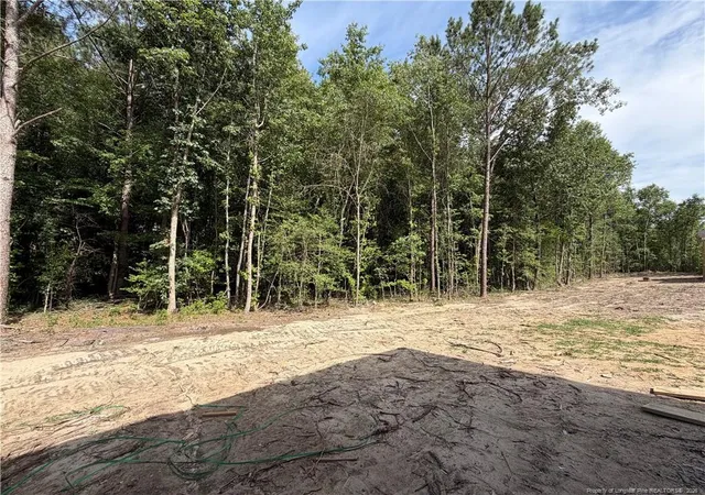 8th image of 575 Grand Griffon Wy, Lillington, NC 27546 | MLS# 762261