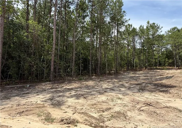 7th image of 420 Grand Griffon Wy, Lillington, NC 27546 | MLS# 762292