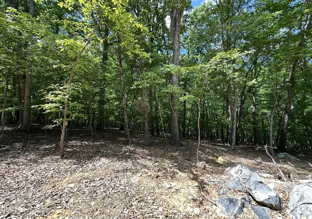 Homes for sale in Rougemont, NC | 033 Fire Tower Dr, Rougemont, NC 27572 | MLS# 10167280