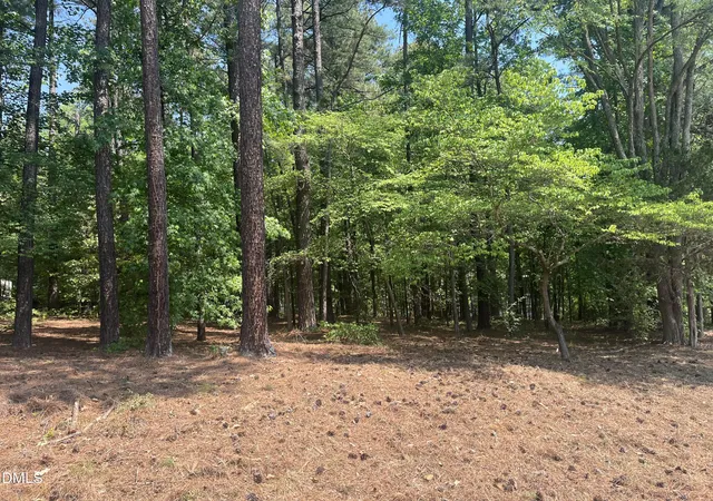 2nd image of 106 Spring Blossom Ln, Durham, NC 27705 | MLS# 10170409