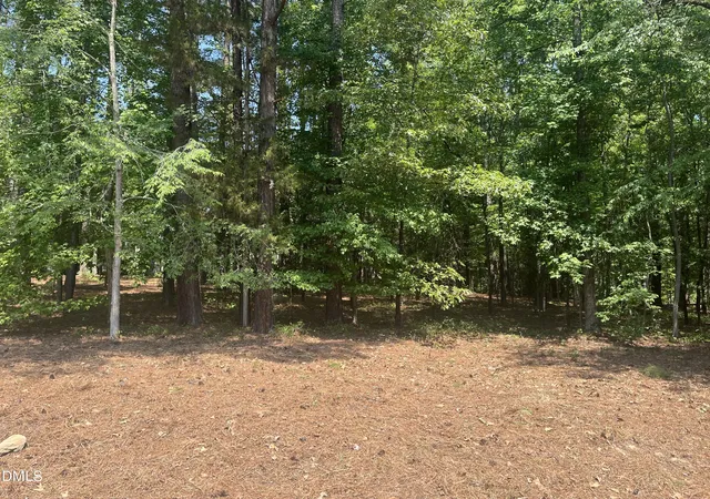 3rd image of 106 Spring Blossom Ln, Durham, NC 27705 | MLS# 10170409
