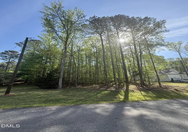 Homes for sale in Louisburg, NC | 124 Sacred Fire Rd, Louisburg, NC 27549 | MLS# 10166540