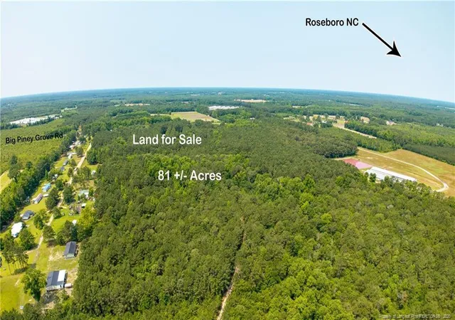 1st image of Big Piney Grove Rd, Clinton, NC 28328 | MLS# 762414