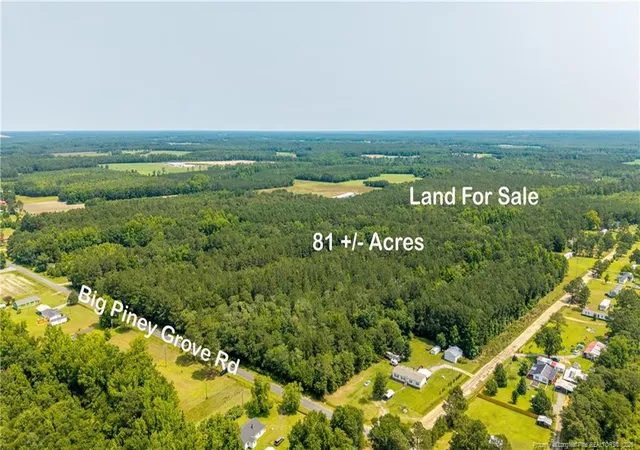 2nd image of Big Piney Grove Rd, Clinton, NC 28328 | MLS# 762414