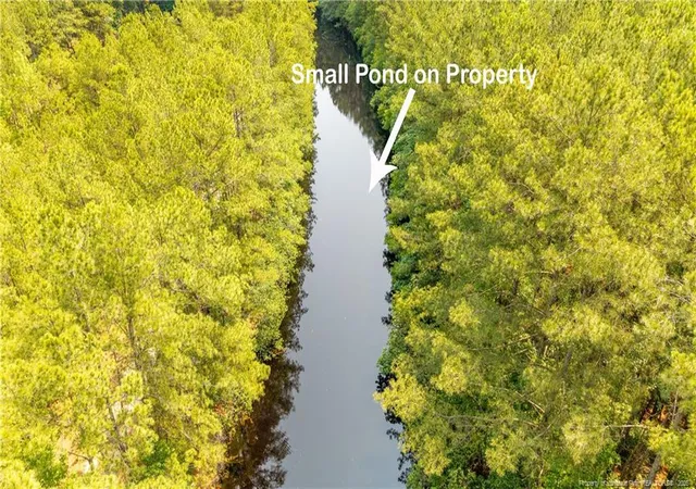 4th image of Big Piney Grove Rd, Clinton, NC 28328 | MLS# 762414
