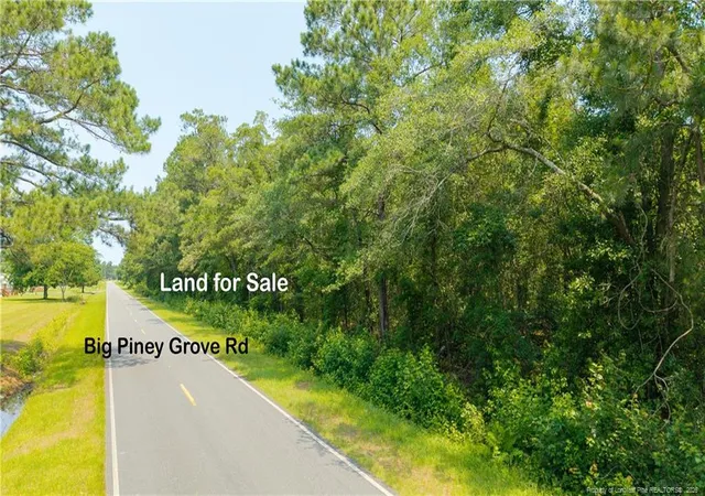 5th image of Big Piney Grove Rd, Clinton, NC 28328 | MLS# 762414