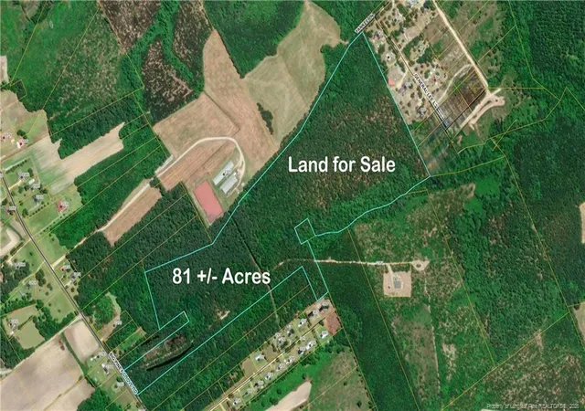 7th image of Big Piney Grove Rd, Clinton, NC 28328 | MLS# 762414