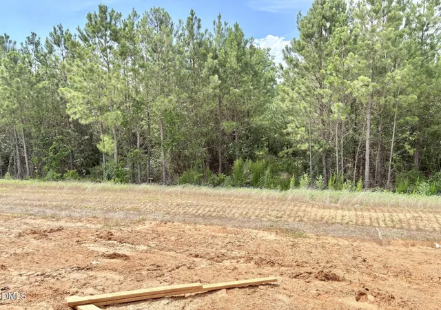 30th image of 117 Thompson Pond Wy #38, Franklinton, NC 27525 | MLS# 10166610