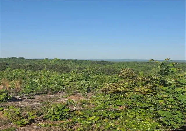 Photo 3 of Land for sale at 000 Skeen View Rd, Asheboro, NC 27205 | MLS# 762565 | Listing updated on 2026-07-18