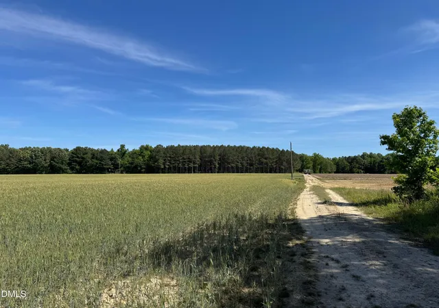 Photo 2 of Land for sale at 0 Stevens Sausage Rd, Smithfield, NC 27577 | MLS# 10168235 | Listing updated on 2026-07-18