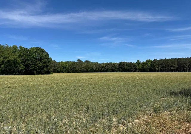 Photo 3 of Land for sale at 0 Stevens Sausage Rd, Smithfield, NC 27577 | MLS# 10168235 | Listing updated on 2026-07-18