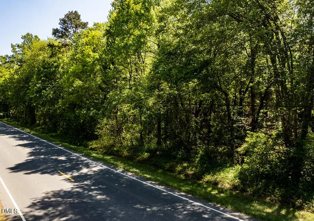 Homes for sale in Graham, NC | 0 S South Nc 87 Hwy, Graham, NC 27253 | MLS# 10167318
