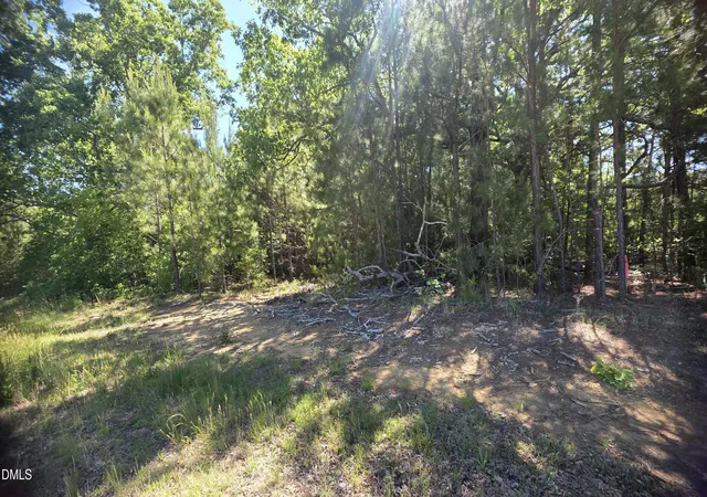 Homes for sale in Louisburg, NC | 0000 Laurel Mill Rd, Louisburg, NC 27549 | MLS# 10167436