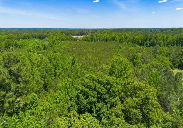 Homes for sale in Louisburg, NC | 0000 Laurel Mill Rd, Louisburg, NC 27549 | MLS# 10167436