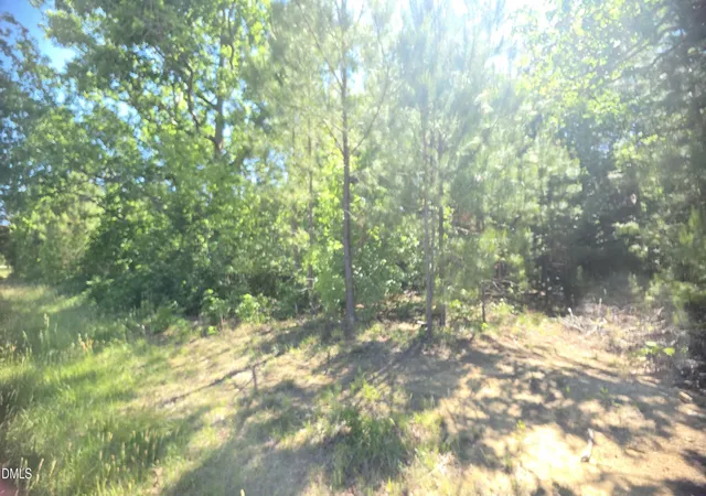 Homes for sale in Louisburg, NC | 0000 Laurel Mill Rd, Louisburg, NC 27549 | MLS# 10167436