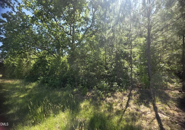 Homes for sale in Louisburg, NC | 0000 Laurel Mill Rd, Louisburg, NC 27549 | MLS# 10167436