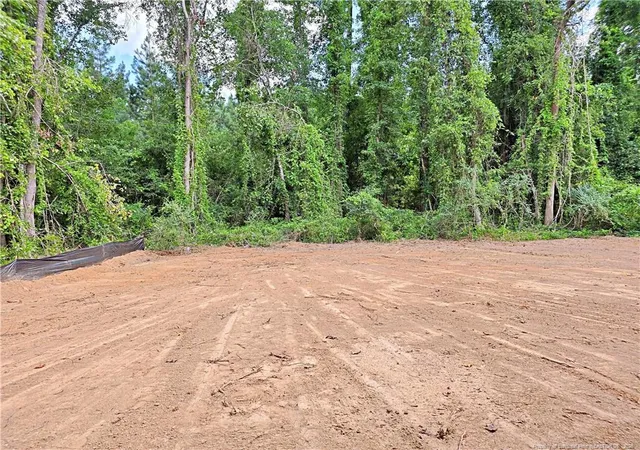 30th image of 490 Needmore Rd, Carthage, NC 28327 | MLS# 762636