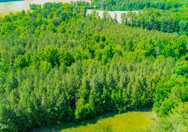 1st image of 1019 Acre Orange Grove Rd, Hillsborough, NC 27278 | MLS# 10168392