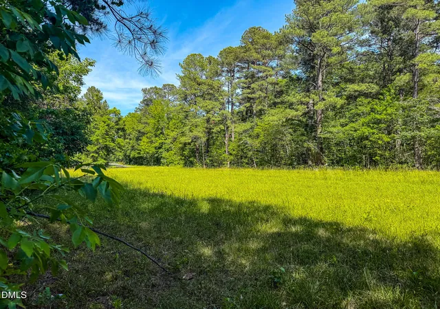 3rd image of 1019 Acre Orange Grove Rd, Hillsborough, NC 27278 | MLS# 10168392