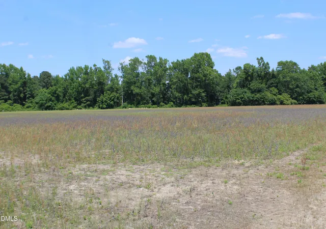 1st image of 0 Lees Chapel Church Rd, Dunn, NC 28334 | MLS# 10168136