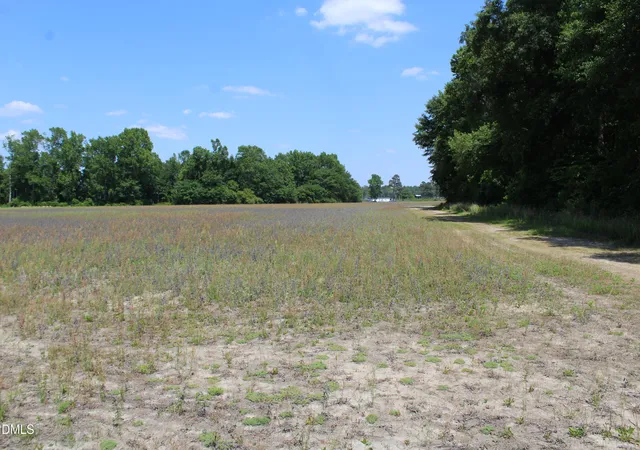 2nd image of 0 Lees Chapel Church Rd, Dunn, NC 28334 | MLS# 10168136