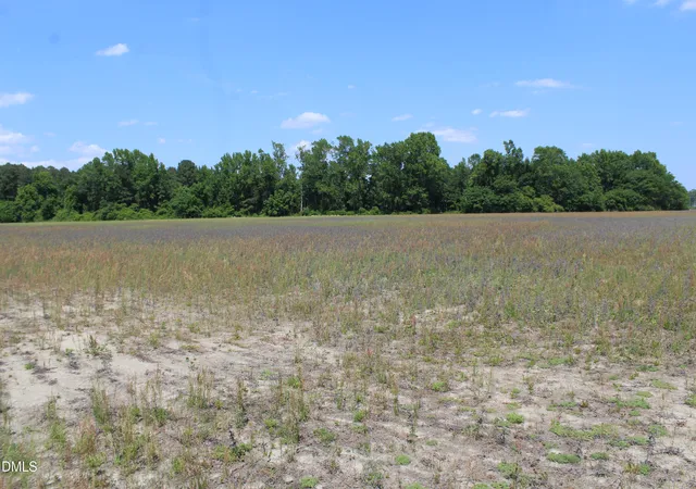 Photo 3 of Sale Pending at 0 Lees Chapel Church Rd, Dunn, NC 28334 | MLS# 10168136 | Listing updated on 2026-07-18