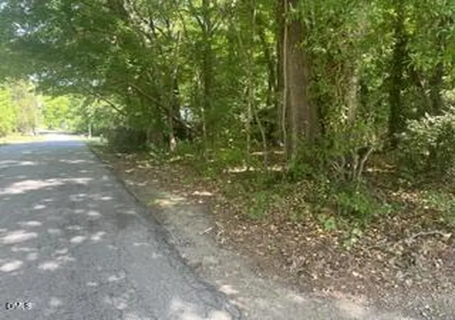 Homes for sale in Henderson, NC | 240 Chavasse Ave, Henderson, NC 27536 | MLS# 10167796