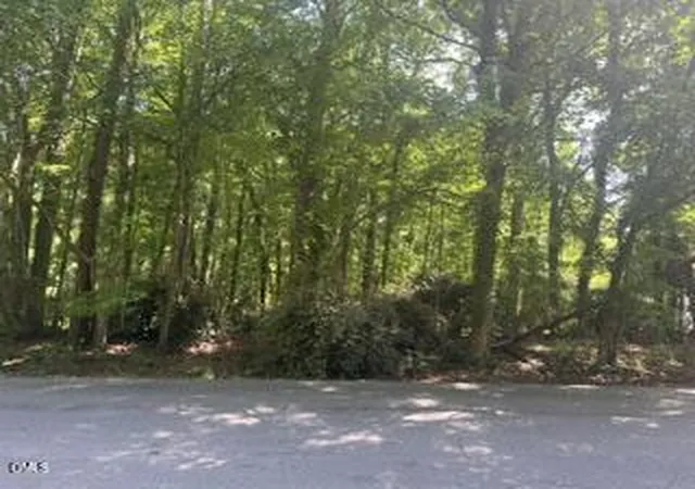 Photo 3 of Land for sale at 00 Chavasse Ave, Henderson, NC 27536 | MLS# 10167796 | Listing updated on 2026-07-18