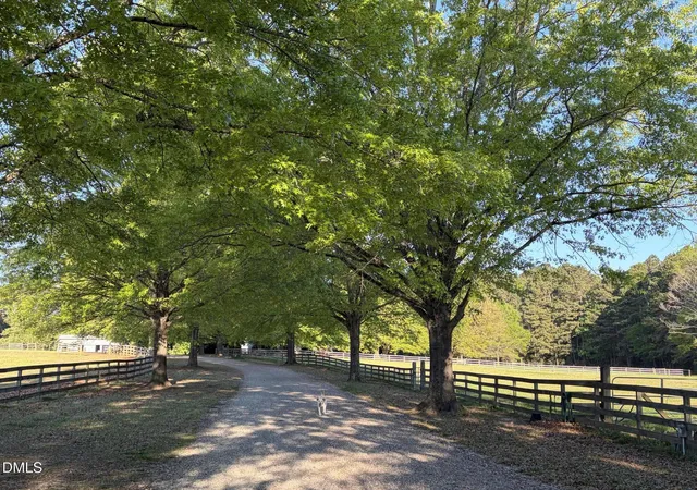 Photo 3 of Single family home for sale at 220 Jordan Narron Rd, Selma, NC 27576 | MLS# 10167909 | Listing updated on 2026-09-06