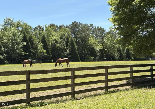 Photo 4 of Single family home for sale at 220 Jordan Narron Rd, Selma, NC 27576 | MLS# 10167909 | Listing updated on 2026-09-06