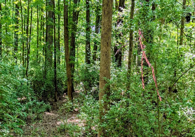 2nd image of Lot 1 Blueberry Ln, Chapel Hill, NC 27516 | MLS# 10168025