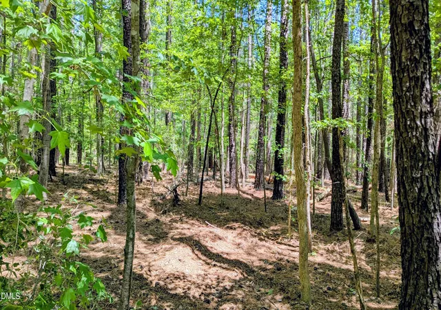 3rd image of Lot 1 Blueberry Ln, Chapel Hill, NC 27516 | MLS# 10168025