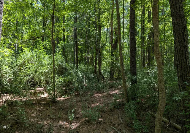 4th image of Lot 1 Blueberry Ln, Chapel Hill, NC 27516 | MLS# 10168025
