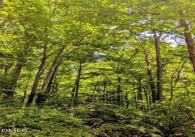 5th image of Lot 1 Blueberry Ln, Chapel Hill, NC 27516 | MLS# 10168025