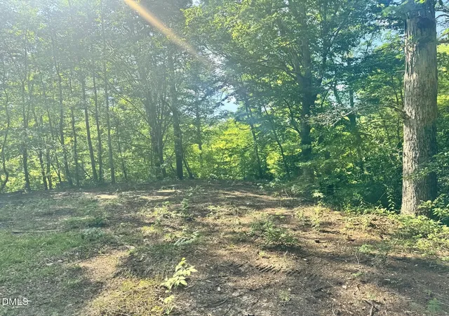 Photo 3 of Land for sale at 540 Crab Apple Ln, Erwin, NC 28339 | MLS# 10167985 | Listing updated on 2026-07-18