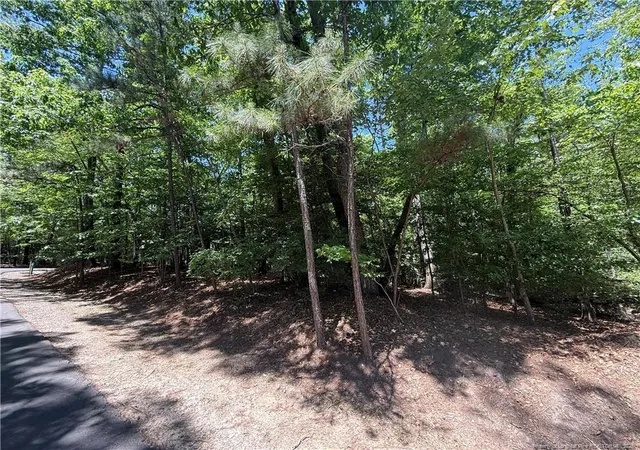 Homes for sale in Sanford, NC | 2056 Long Point Trl, Sanford, NC 27332 | MLS# 762773